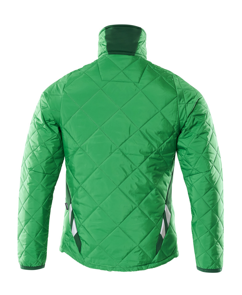 Q quilted, Green jacket, Padded, Back view, Collar stand