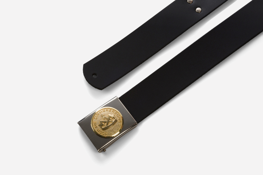 Ledergürtel, Schwarz, Gürtelschnalle, Metallic, Riemen