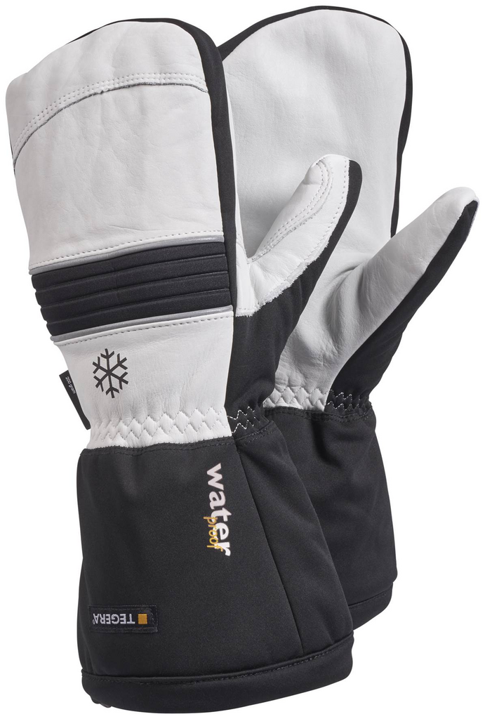 Winter, Mitten, Handschuh, Gepolstert, Schneesport