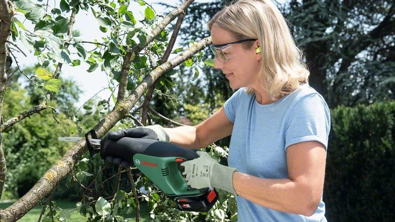 Kettensäge, Baum, Astschere, Holzarbeiten, Gartenarbeit