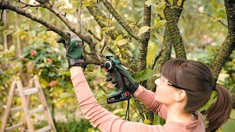 handsaw, power tool, gloves, tree pruning, woman
