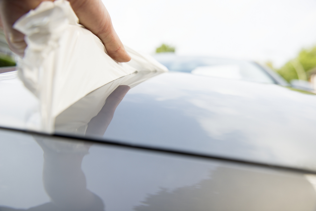 Papier, Reinigen, Person