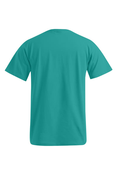 t-shirt, teal, kurzarmig, runderhals, unifarben