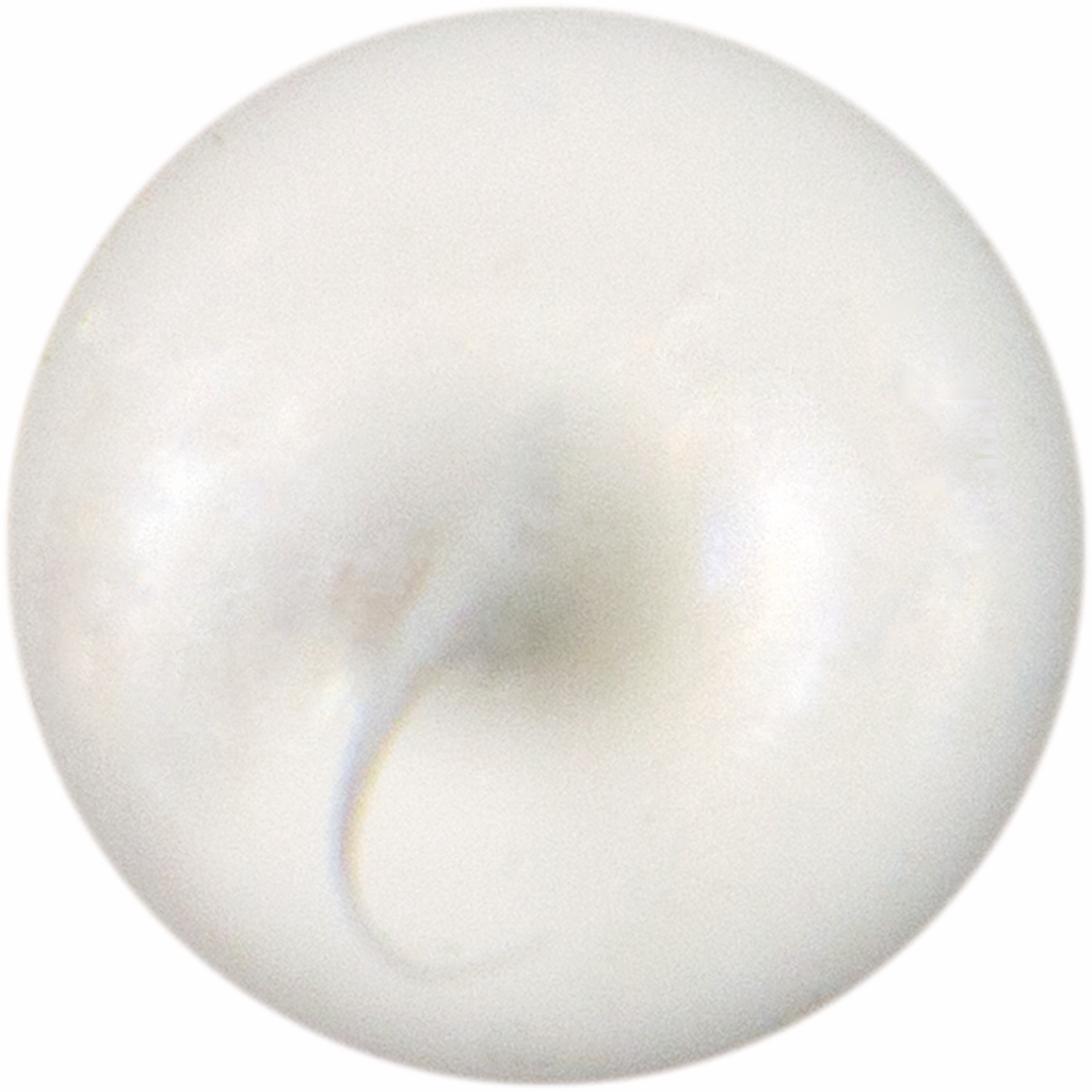 Zubehor, Schmuck, Perle, Ei, Essen