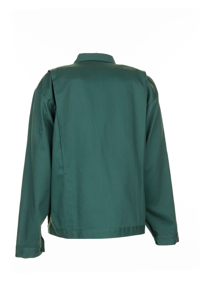 jacke, grün, langarm, kragen, rückseite