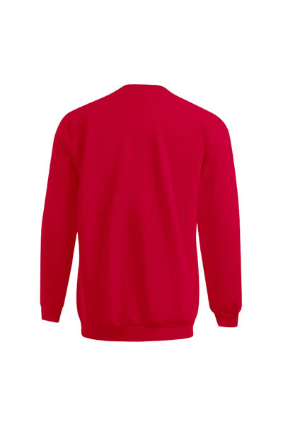 Pullover, Rot, Crewneck, Rückansicht, Langarm