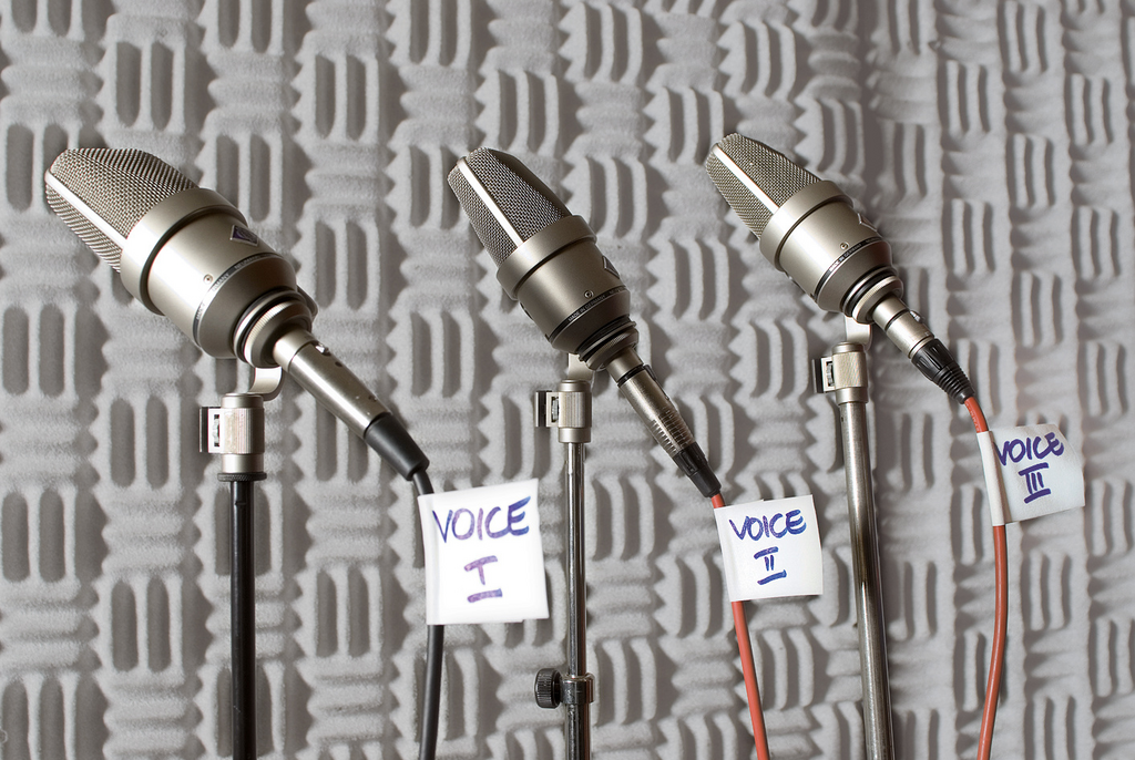 Elektrisches Gerät, Mikrophon