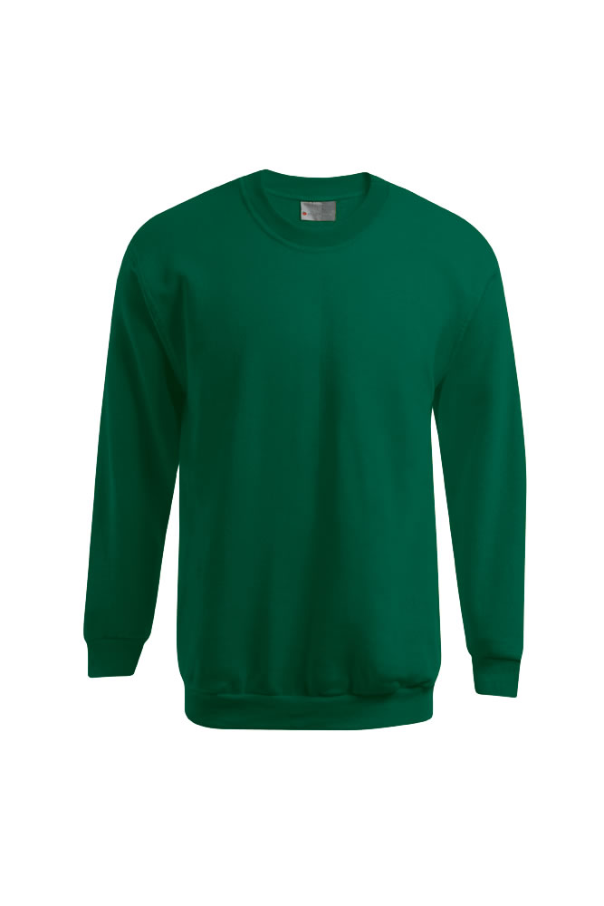 Sweatshirt, Kragenlos?, Langärmlig, Grün, Uni