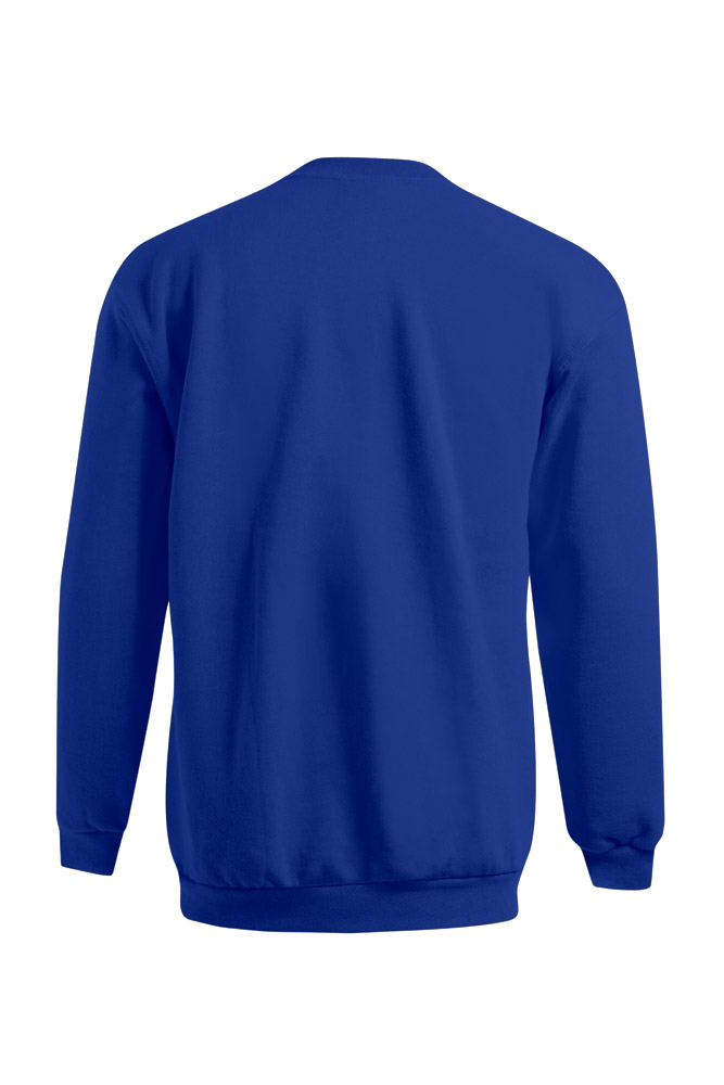 Sweatshirt, Lange Ärmel, Rundhals, Blau, Rückseite