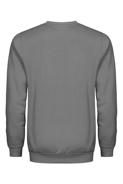  Sweatshirt, grau, Langarm, Rundhals, einfarbig