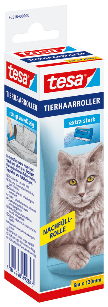 Kiste, Tier, Katze, Säugetier, Haustier