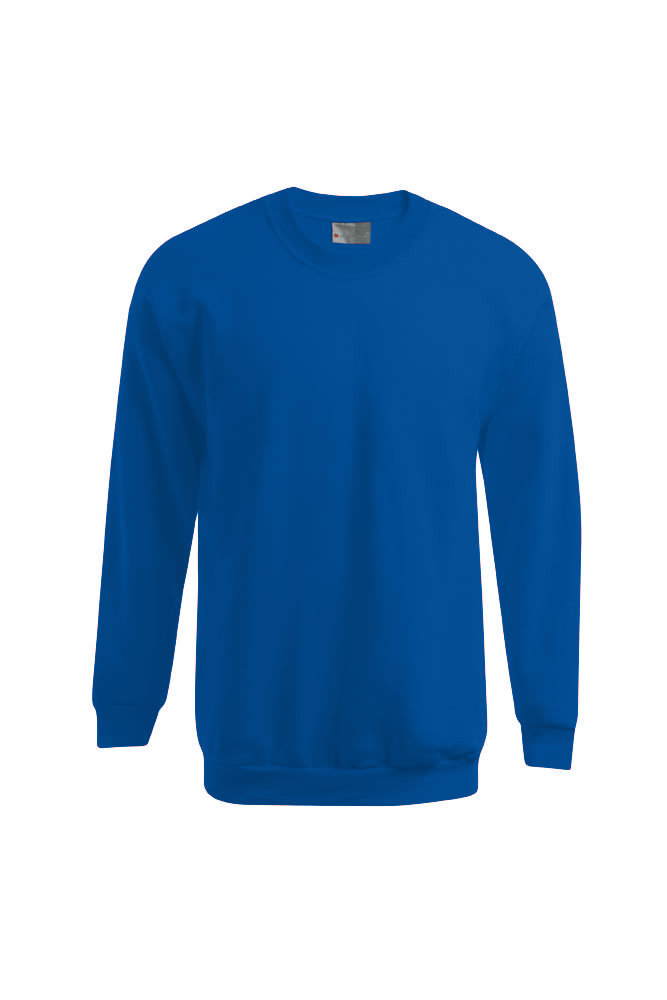 Sweatshirt, Crewneck, Long sleeve, Blue, Plain